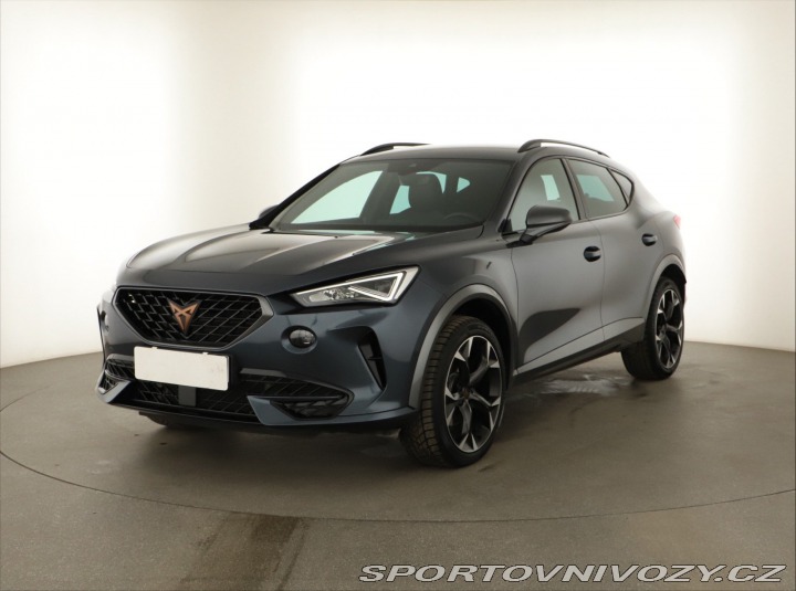 Cupra Formentor 2.0 TSI 4Drive 2023