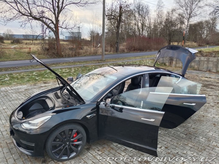 Tesla Model 3 PERFORMANCE AWD 510 hp 2019