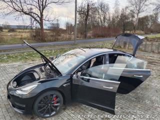 Tesla Model 3 PERFORMANCE AWD 510 hp 2019