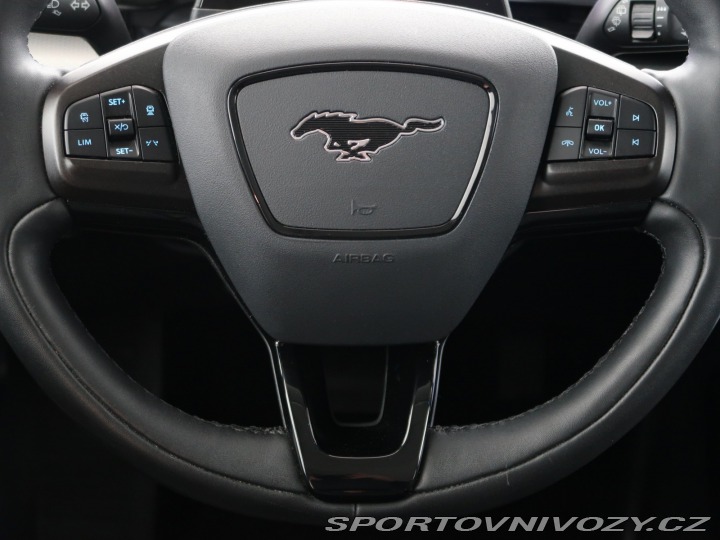 Ford Mustang Mach-E  Standard Range RW 2021