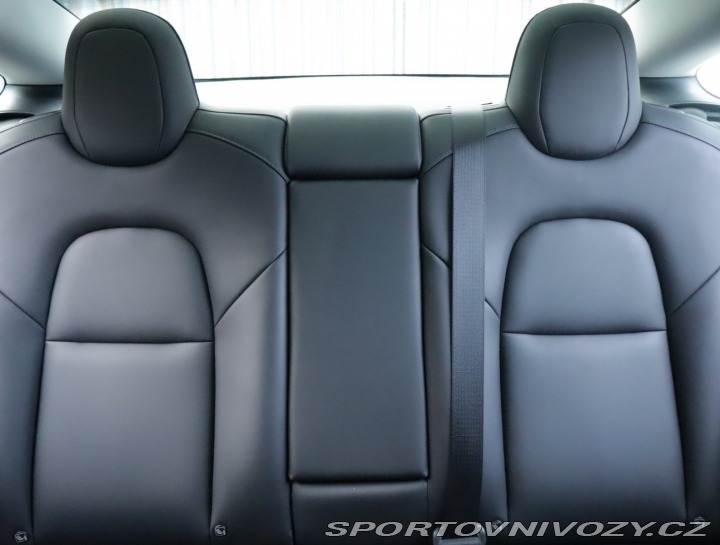 Tesla Model 3 Std Range Plus LFP 2021