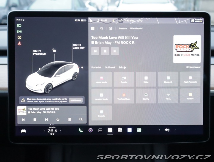 Tesla Model 3 Std Range Plus LFP 2021