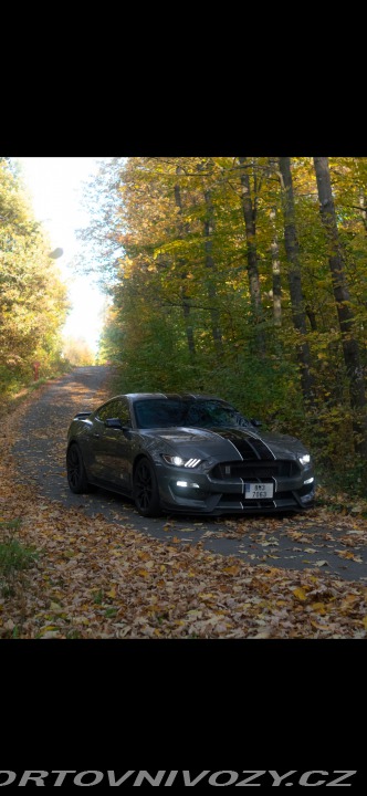 Ford Mustang Shelby GT350 2018