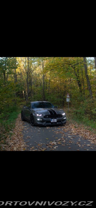 Ford Mustang Shelby GT350 2018