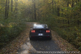Ford Mustang Shelby GT350 2018