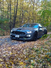Ford Mustang Shelby GT350 2018