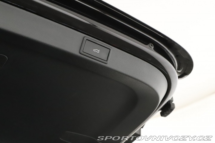 Škoda Octavia RS RS RS 2.0 TSI 2024