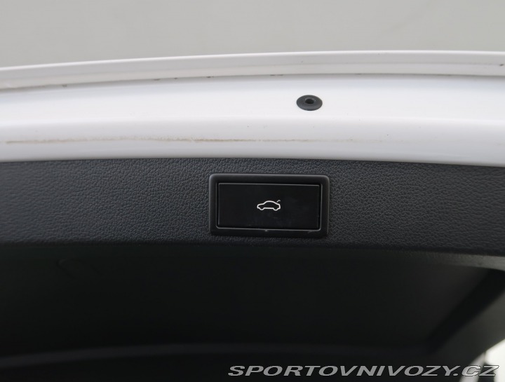 Škoda Octavia RS RS RS 2.0 TDI 2017