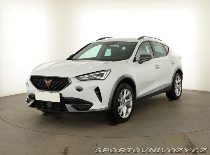 Cupra Formentor 2.0 TSI 4Drive 2022