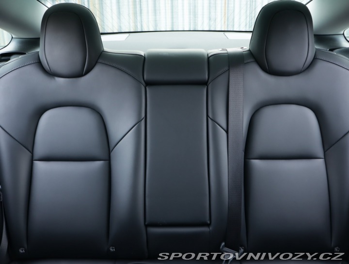 Tesla Model 3 Std Range Plus LFP 2020