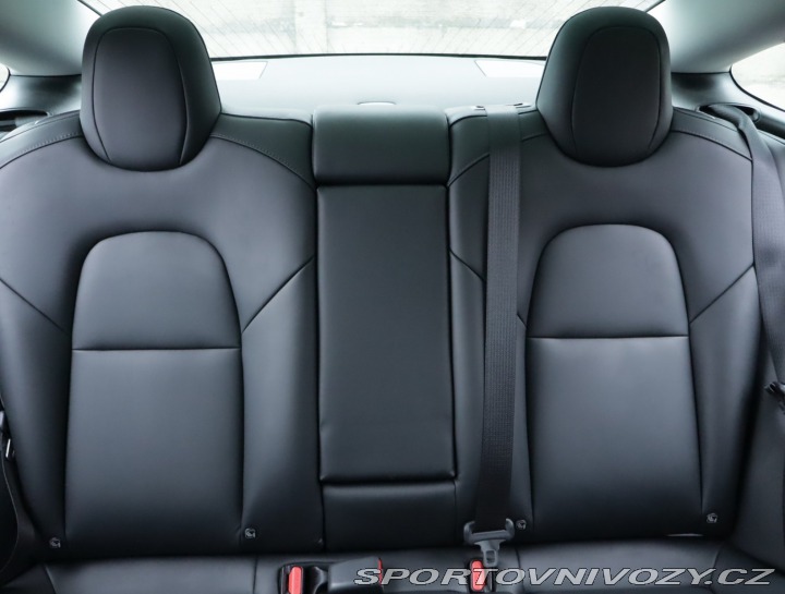 Tesla Model 3 Std Range Plus LFP 2020