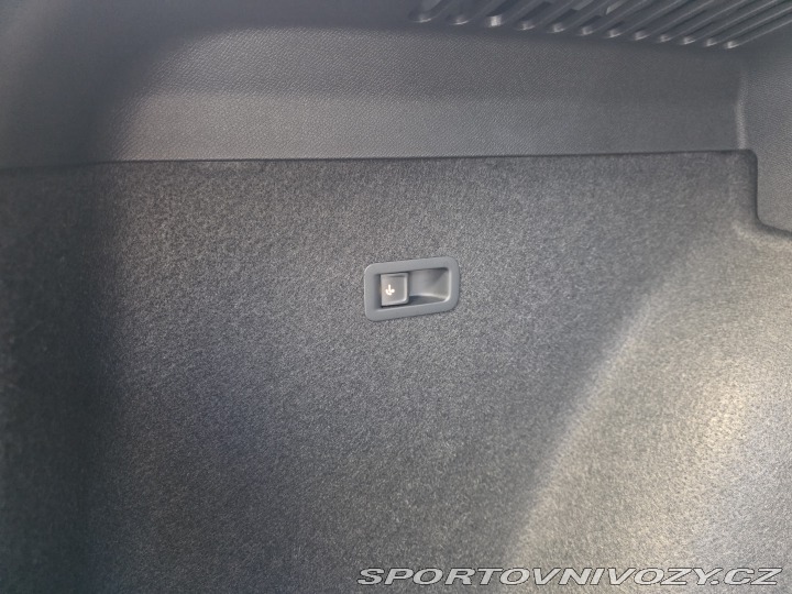 Cupra Formentor 2.0 TSI VZ, 1. Maj., DPH 2022