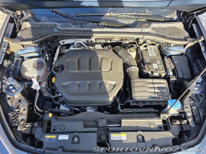 Cupra Formentor 2.0 TSI VZ, 1. Maj., DPH 2022