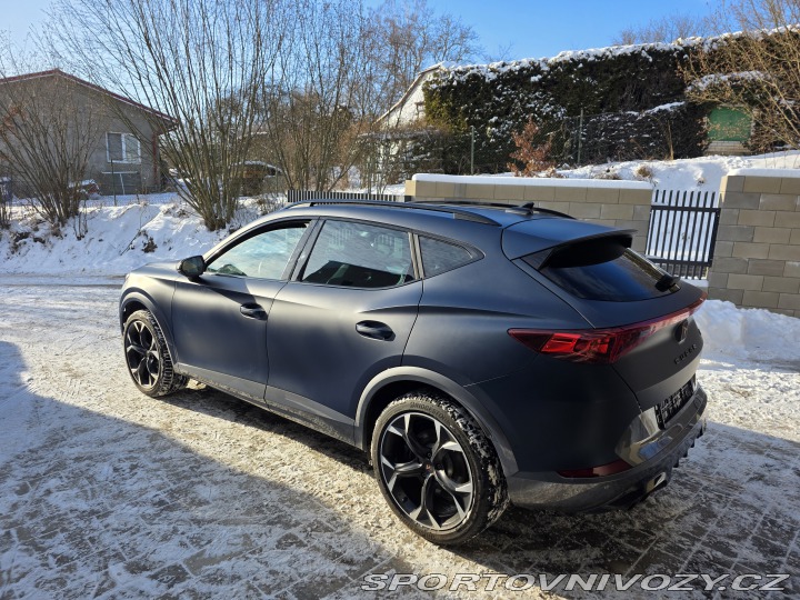 Cupra Formentor 2.0 TSI VZ, 1. Maj., DPH 2022