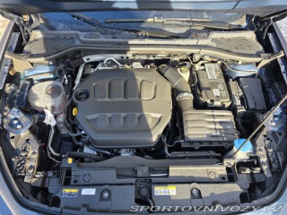 Cupra Formentor 2.0 TSI VZ, 1. Maj., DPH 2022