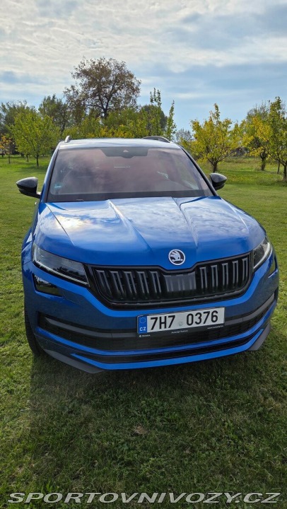 Škoda Ostatní modely Kodiaq 2,0 TSI 4x4 DSG 140kW 2 2021