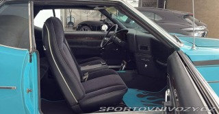 Ostatní značky Ostatní modely AMC Javelin SST 360 1971