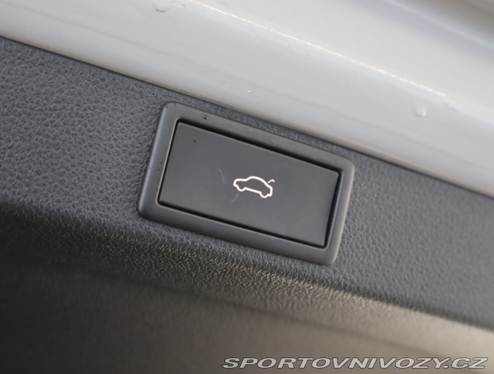 Škoda Octavia RS RS RS 2.0 TSI 2021