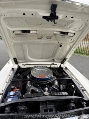 Ford Mustang Fastback S-Code 1967