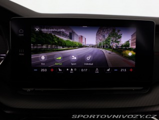 Škoda Octavia RS RS RS 2.0 TDI 4x4 2024