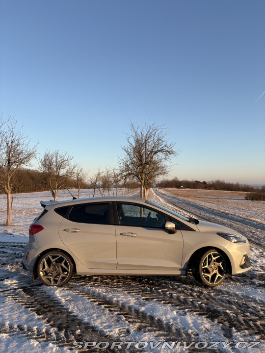Ford Fiesta ST Performance 2019