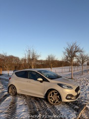 Ford Fiesta ST Performance 2019