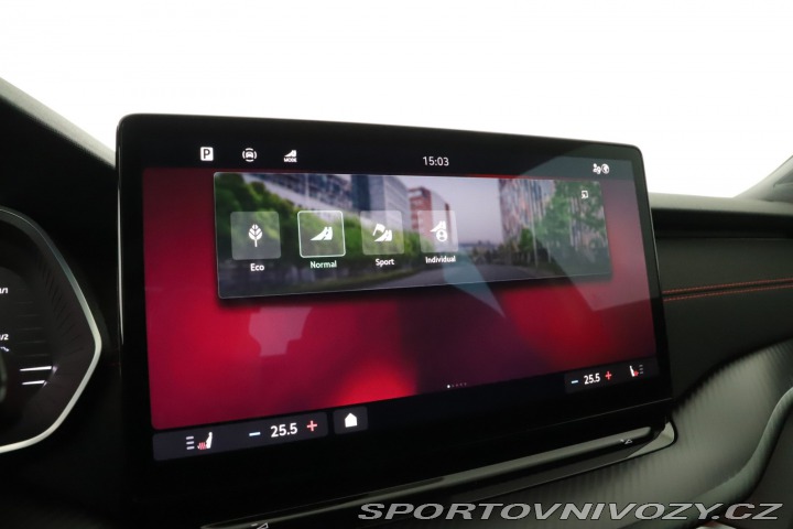 Škoda Octavia RS RS RS 2.0 TSI 2024