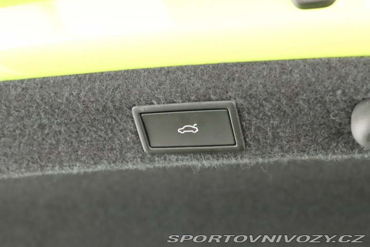 Škoda Octavia RS RS RS 2.0 TSI 2024