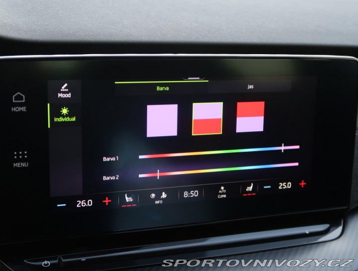 Škoda Octavia RS RS RS 2.0 TSI 2021