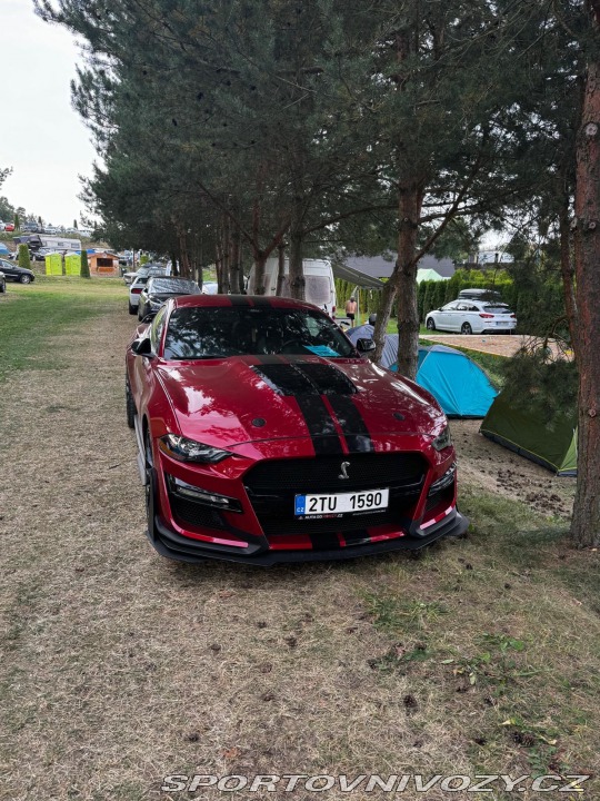 Ford Mustang GT 5.0 V8 2021