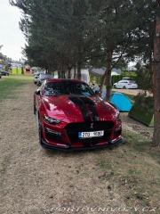 Ford Mustang GT 5.0 V8 2021