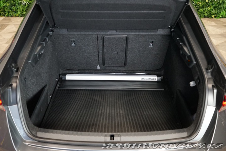 Škoda Octavia RS RS*2.0 TDI*4X4*LED*DSG*TA 2023