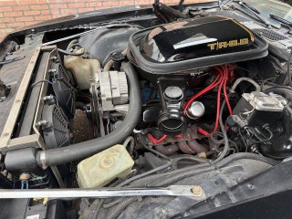 Pontiac Firebird Trans Am Targa 1978