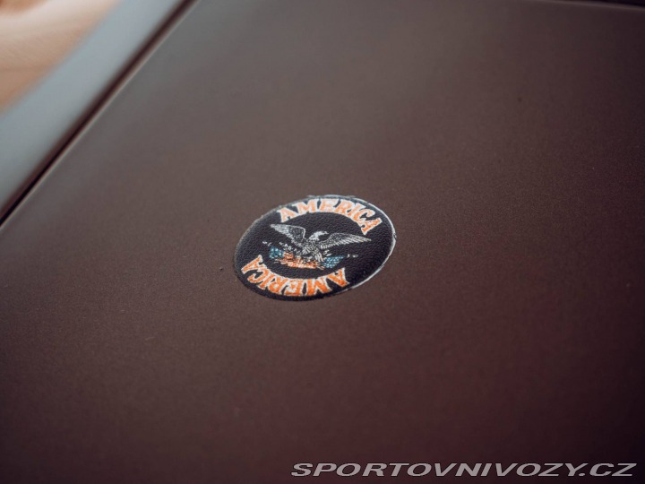 Pontiac Firebird Trans Am Targa 1980