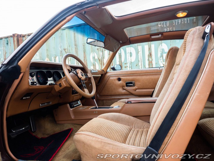 Pontiac Firebird Trans Am Targa 1980