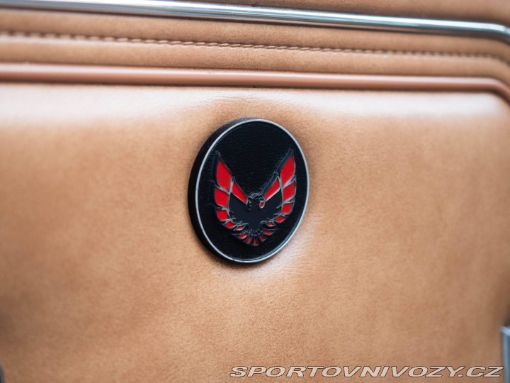 Pontiac Firebird Trans Am Targa 1980