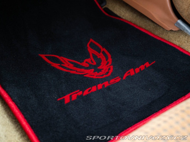 Pontiac Firebird Trans Am Targa 1980