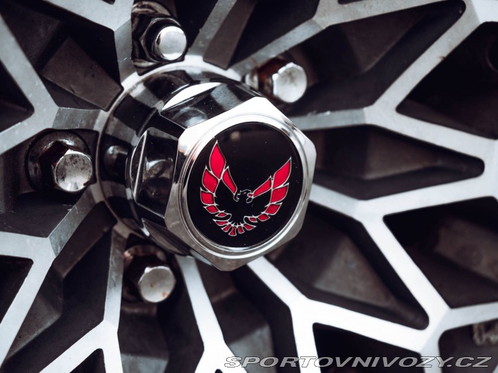 Pontiac Firebird Trans Am Targa 1980