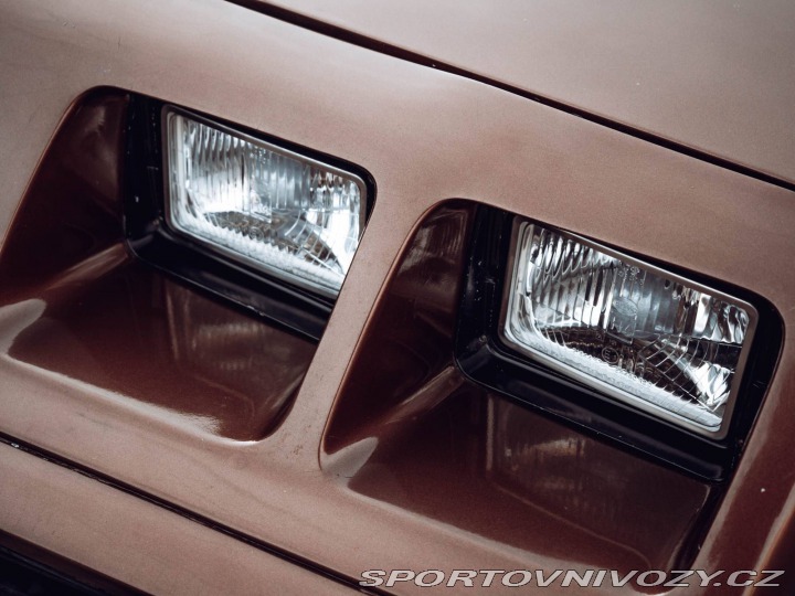 Pontiac Firebird Trans Am Targa 1980