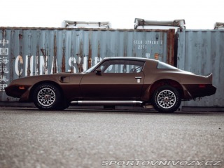 Pontiac Firebird Trans Am Targa 1980