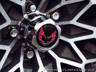 Pontiac Firebird Trans Am Targa 1980