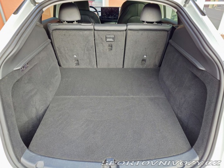 Tesla Model Y Performance - BERLÍN, EAP 2022