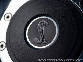 Ford Mustang Fastback GT500 „Eleanor“ 1967