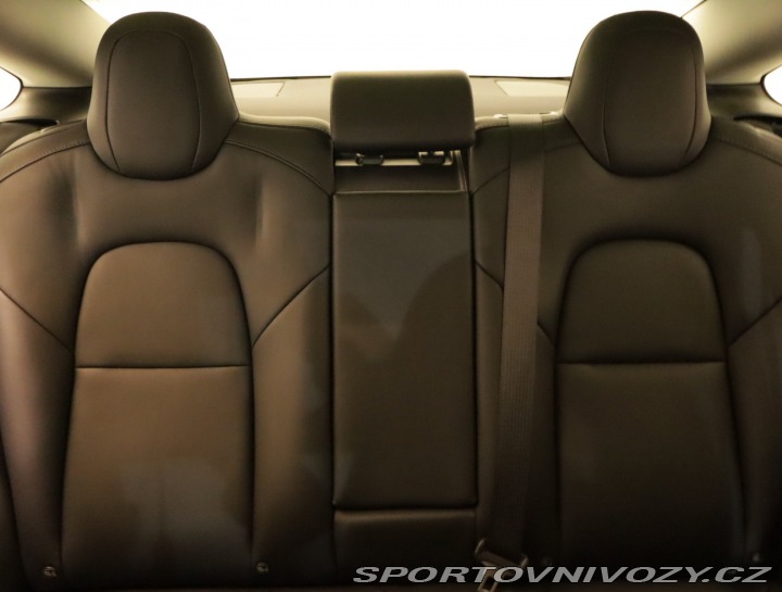 Tesla Model 3 Std Range Plus 52kWh 2020