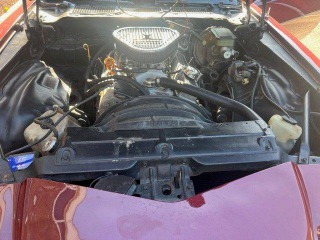 Chevrolet Camaro Z28 TARGA 1980