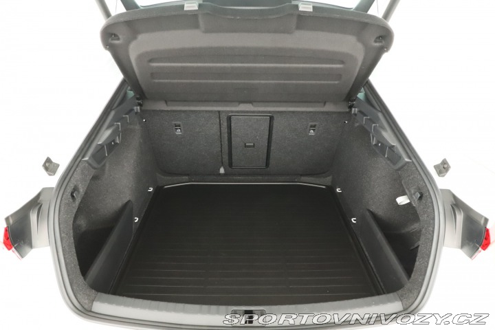 Škoda Octavia RS RS RS 2.0 TSI 2025