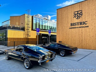 Ford Mustang BOSS 429 1969