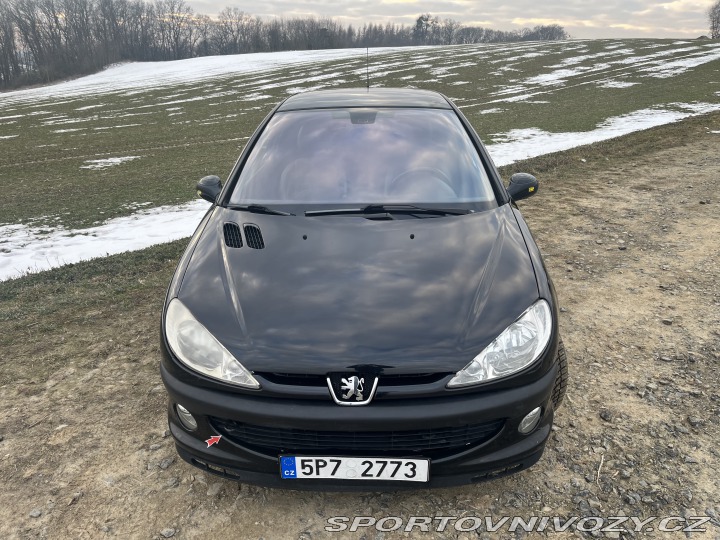Peugeot 206 S16 / gti 2001