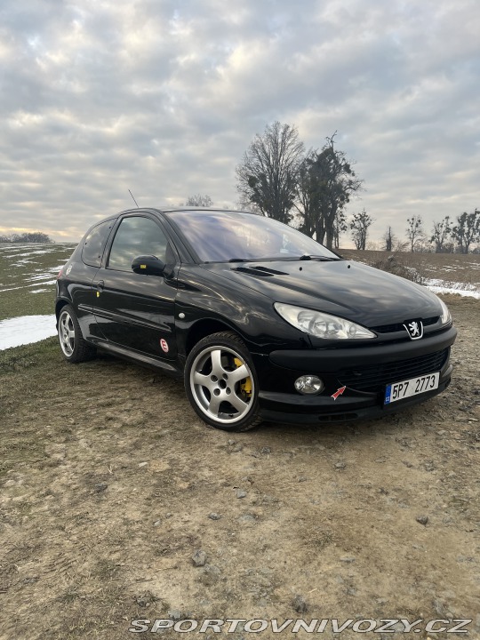 Peugeot 206 S16 / gti 2001