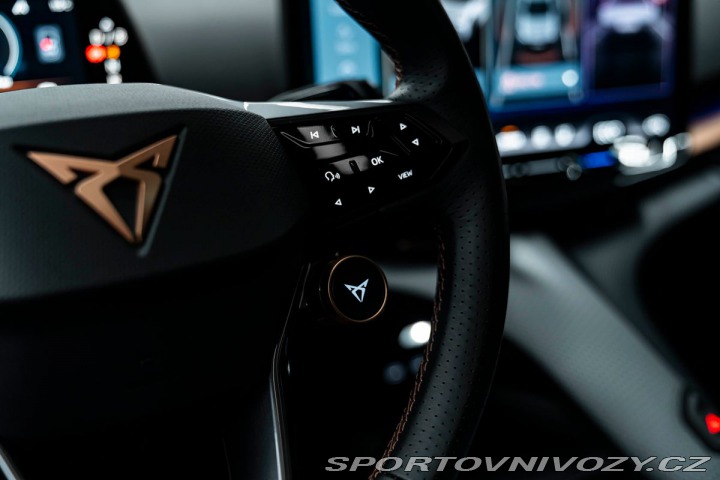 Cupra Tavascan Extreme 2024